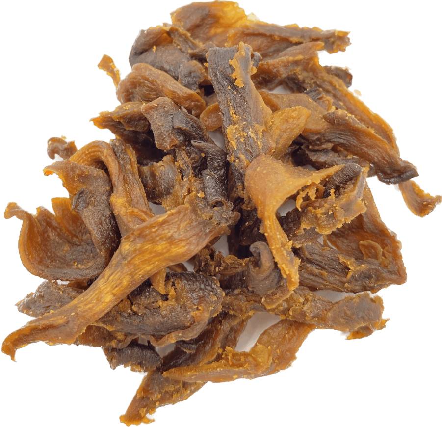 MO mushroom jerky - hlíva ústřičná